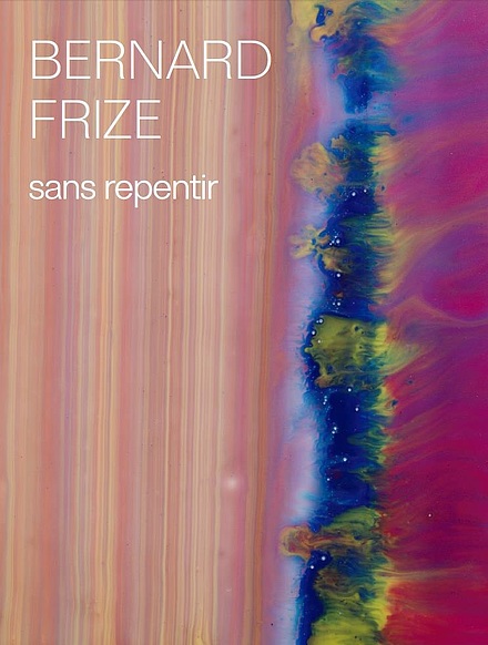 Bernard Frize Catalogue Exposition