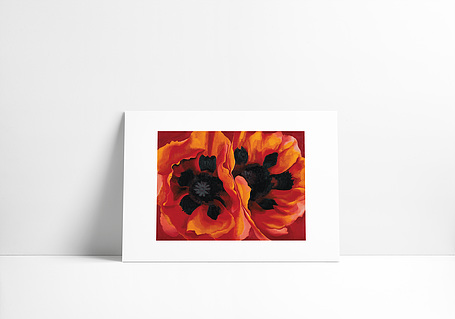 Reproduction O'Keeffe | Oriental Poppies