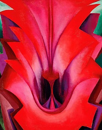 Plastic folder O'Keeffe | Inside Red Canna